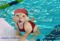  une chat a la piscine lol